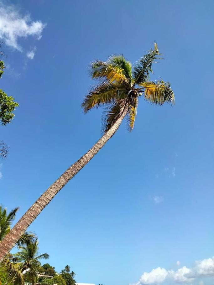 Villa Nautilia, Vue Mer, Proche Plage Les Trois-Ilets Buitenkant foto