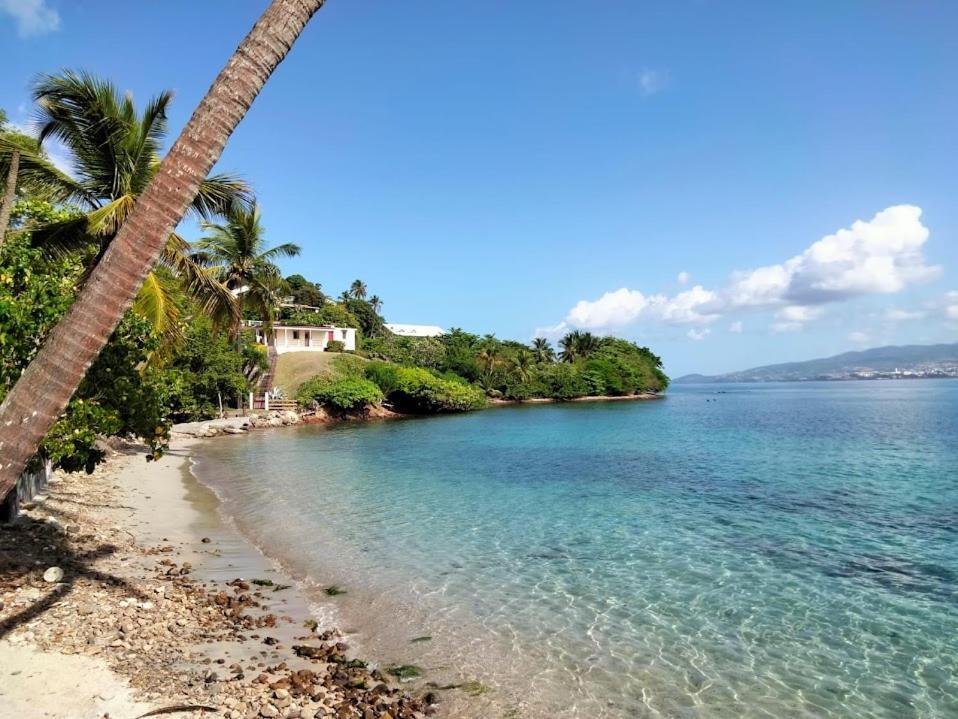Villa Nautilia, Vue Mer, Proche Plage Les Trois-Ilets Buitenkant foto